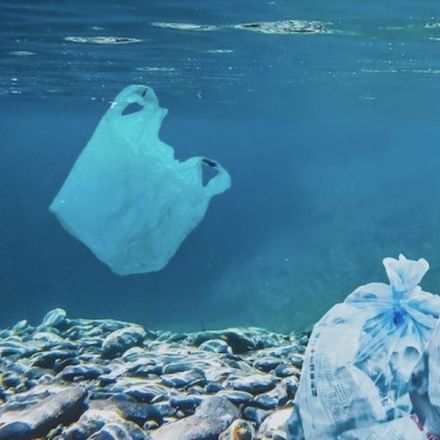 Plastic Pollution Overruns the Mediterranean