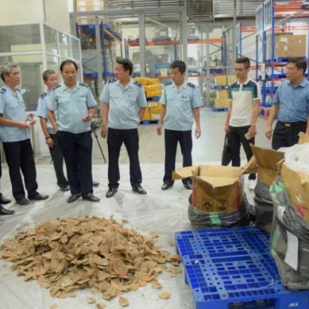 Nearly a tonne of pangolin scales, ivory seized in Vietnam, which has banned the trading of both