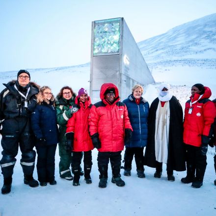 Arctic 'doomsday' food vault welcomes millionth seed variety