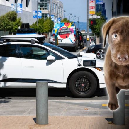 Waymo self-driving car kills a dog in San Francisco