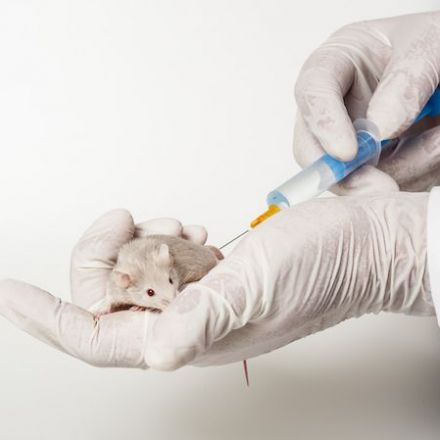 Sex Matters in Experiments on Party Drug--in Mice