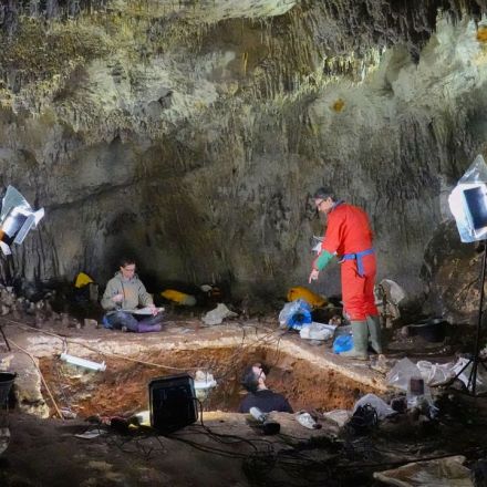 DNA from cave dirt tells tale of how some Neanderthals disappeared