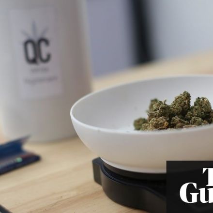 Legalising cannabis adds $3.6bn to Australian economy, budget office says