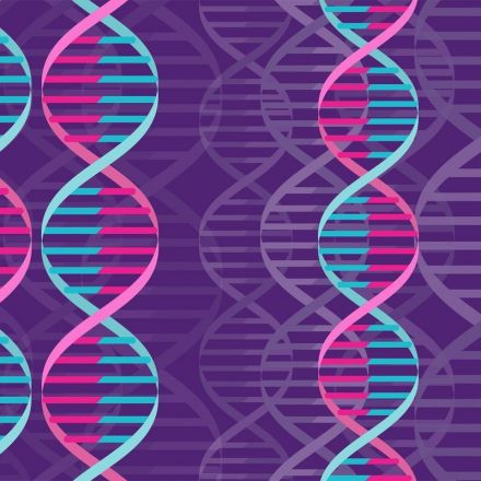 Gene-editing tool CRISPR can now manipulate more types of genetic material