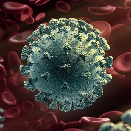 New coronavirus variant: What do we know?
