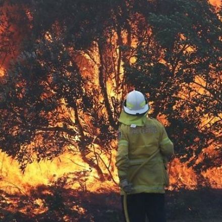 Australia endures hottest day on record
