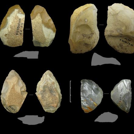 How Neanderthals adjusted to climate change