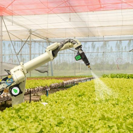Robots are taking over farms faster than expected thanks to small start-ups