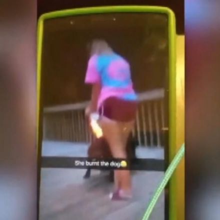 Snapchat video of dog set on fire spurs investigation of North Carolina teens