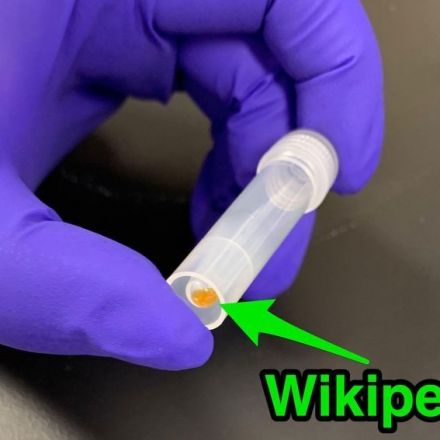 Startup Catalog has jammed all 16GB of Wikipedia's text onto DNA strands