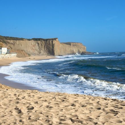 Tech billionaire, ordered to reopen public beach, appeals to supreme court
