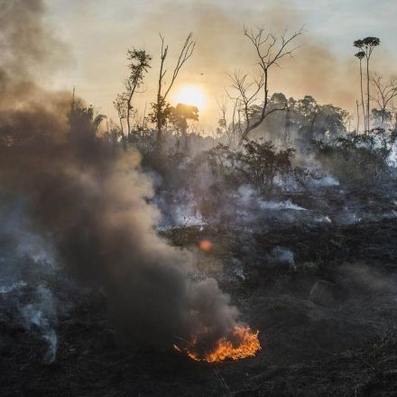 Highway of riches, road to ruin: Inside the Amazon's deforestation crisis