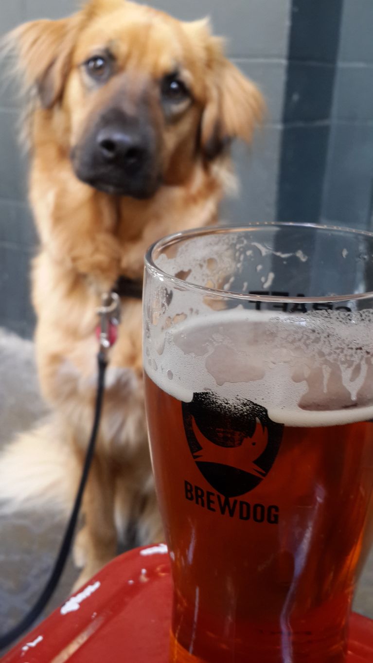 Two of my favorite things: my dog and delicious beer :) 