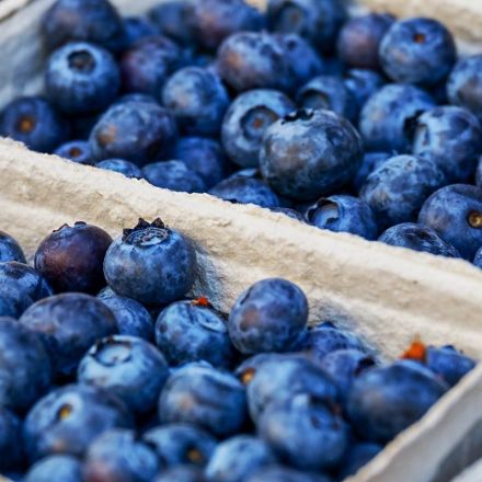 Blueberry Compound May Provide New Inflammatory Bowel Disease Therapy