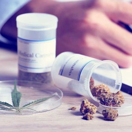 Medical cannabis products to be legalised