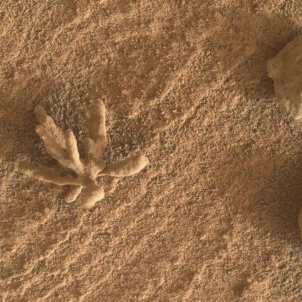 Curiosity rover snaps close-up of tiny 'mineral flower' on Mars