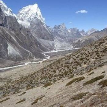 Grass found growing around Mount Everest as warming climate melts ice