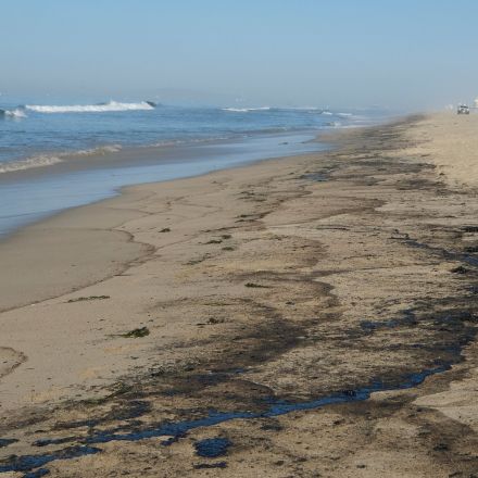 ‘Major’ Oil Spill Off California Coast Threatens Wetlands and Wildlife
