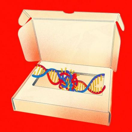 How DNA Testing Botched My Family's Heritage, and Probably Yours, Too