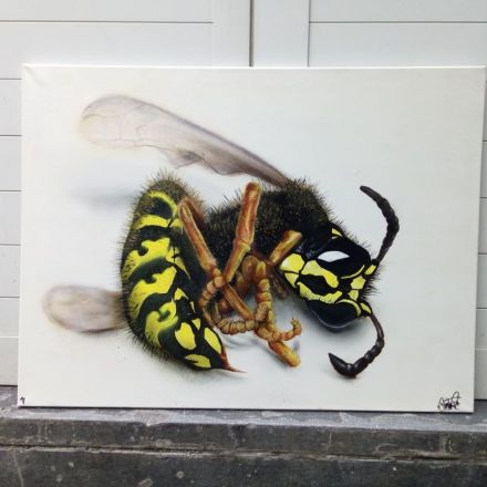 Wasp by Martinus