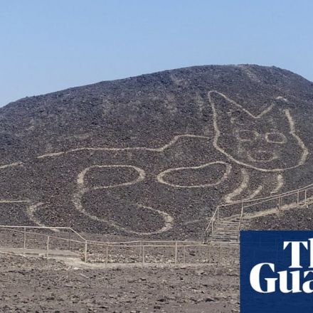 Huge cat found etched into desert among Nazca Lines in Peru