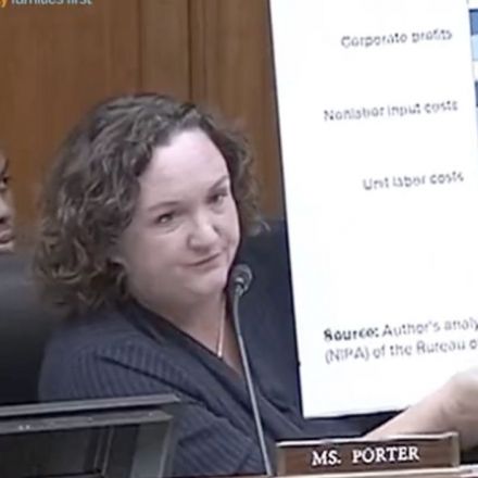 Chart-armed Katie Porter proves that corporate greed is behind inflation
