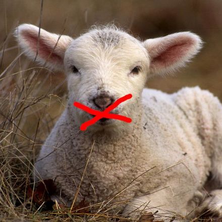 Silencing the lambs. How propaganda works.