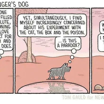 Schrödinger's Dog