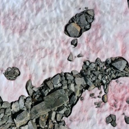 Mysterious pink "watermelon snow" has been appearing in the Italian Alps — and it may warn of environmental disaster