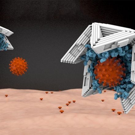 Hollow nano-objects made of DNA could trap viruses and render them harmless