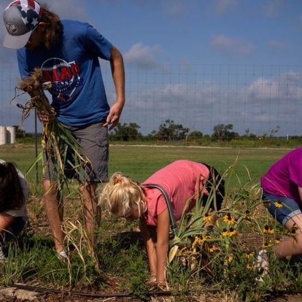 At a shuttered Texas coal mine, a 1-acre garden is helping feed 2,000 people per month