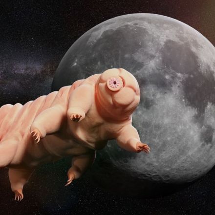 There Are Thousands of Tardigrades on the Moon. Now What?