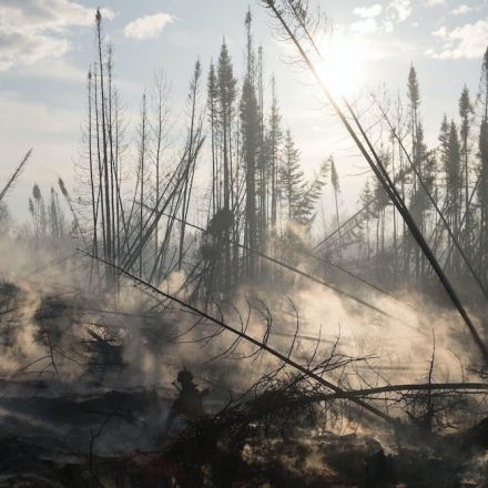 Up in smoke: Human activities are fuelling wildfires that burn essential carbon-sequestering peatlands