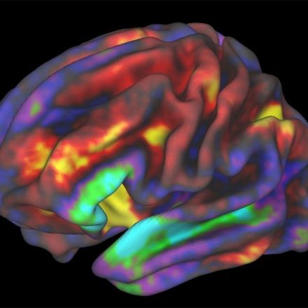 Early-life sleep disruptions linked to irregular development of the prefrontal cortex