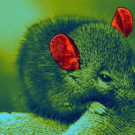 Scientists used gene therapy to cure deafness in mice