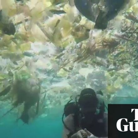 'Plastic, plastic, plastic': British diver films sea of rubbish off Bali
