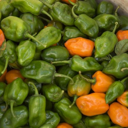Cryptocurrency Backed by Habanero Peppers Is a Thing in Mexico