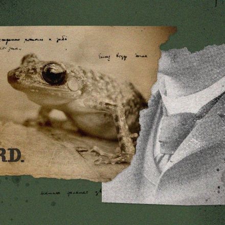The Surprisingly Sinister History Behind Texas’s Cliff Chirping Frog
