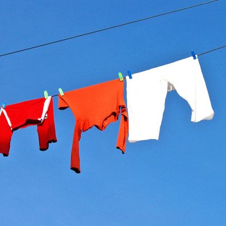 Why line-dried laundry smells so good