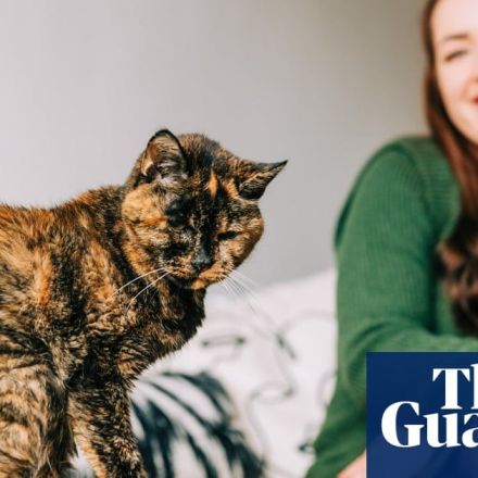Experience: I own the world’s oldest living cat