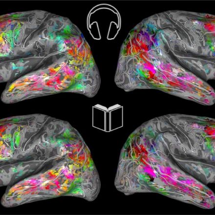 Audiobooks or Reading? To Our Brains, It Doesn't Matter