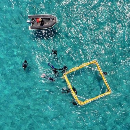 This undersea robot just delivered 100,000 baby corals to the Great Barrier Reef