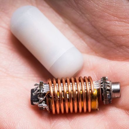 This edible sensor could reveal what our gut microbes are up to