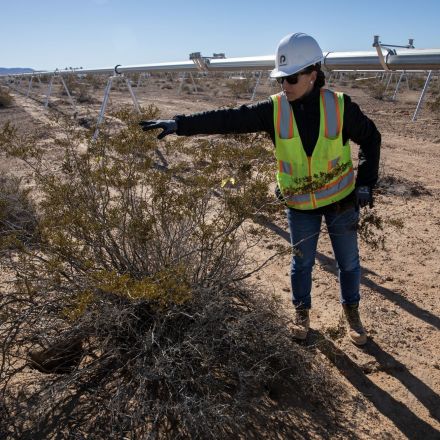 Solar sprawl is tearing up the Mojave Desert. Is there a better way?