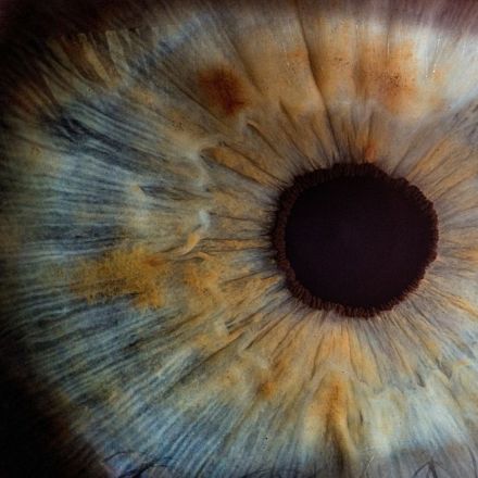 Gene Therapy to Cure Blindness Gets Approval from FDA Advisers