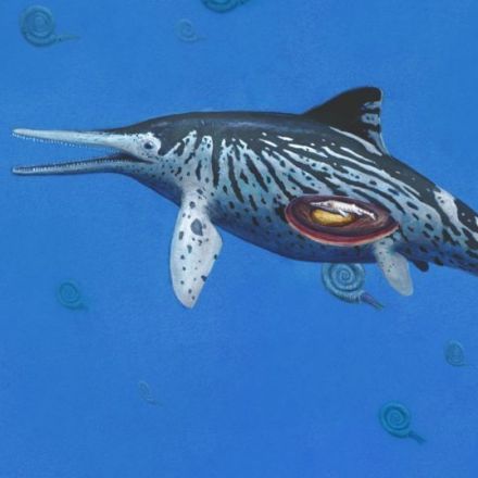 'Sea dragon' fossil is 'largest on record'