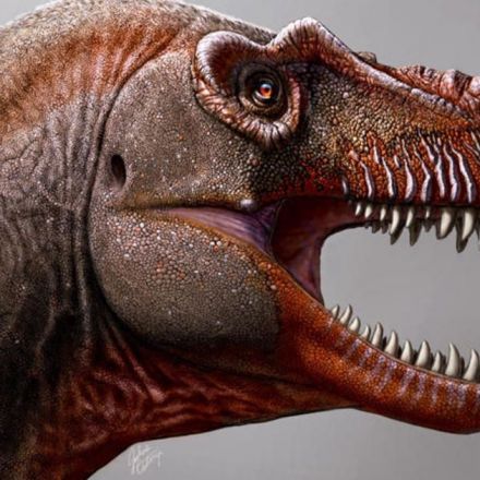 The T. Rex may be the King of Lizards, but its new cousin is the "Reaper of Death"