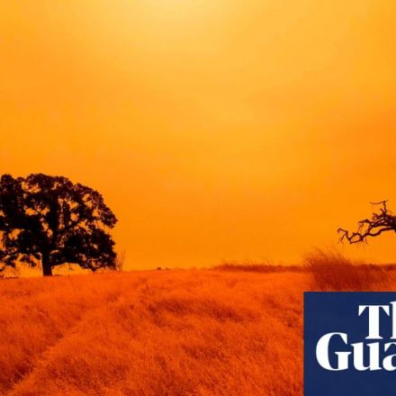 California skies glow orange as wildfires continue – in pictures