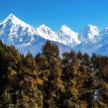 The Himalayan Invention Powered by Pine Needles