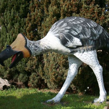 Meet the Terror Bird, a Bone-Smashing Beast That Once Roamed the Americas